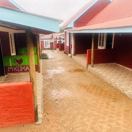 Mkomazi Hotels And Camps Hegoma 外观 照片