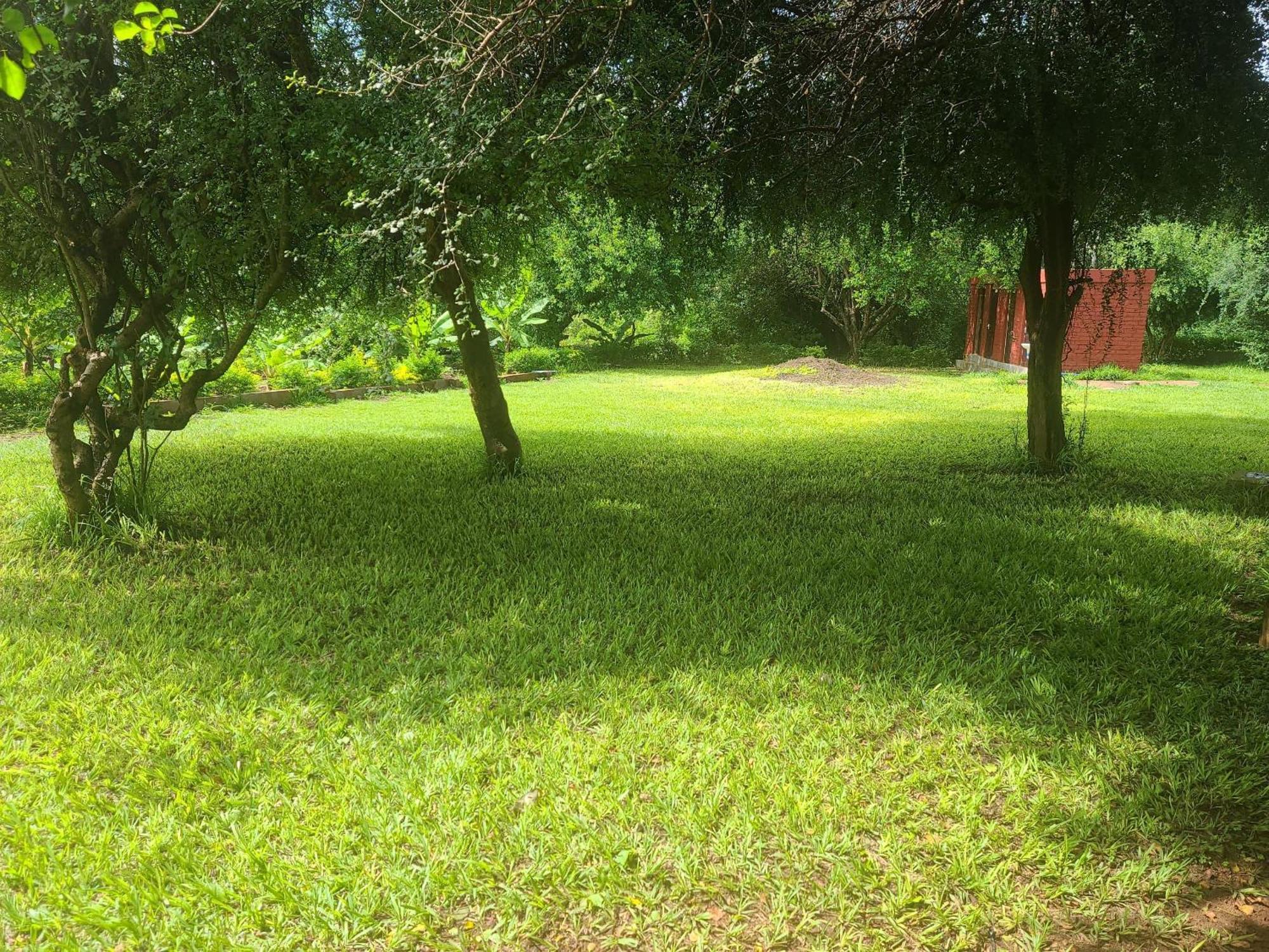 Mkomazi Hotels And Camps Hegoma 外观 照片