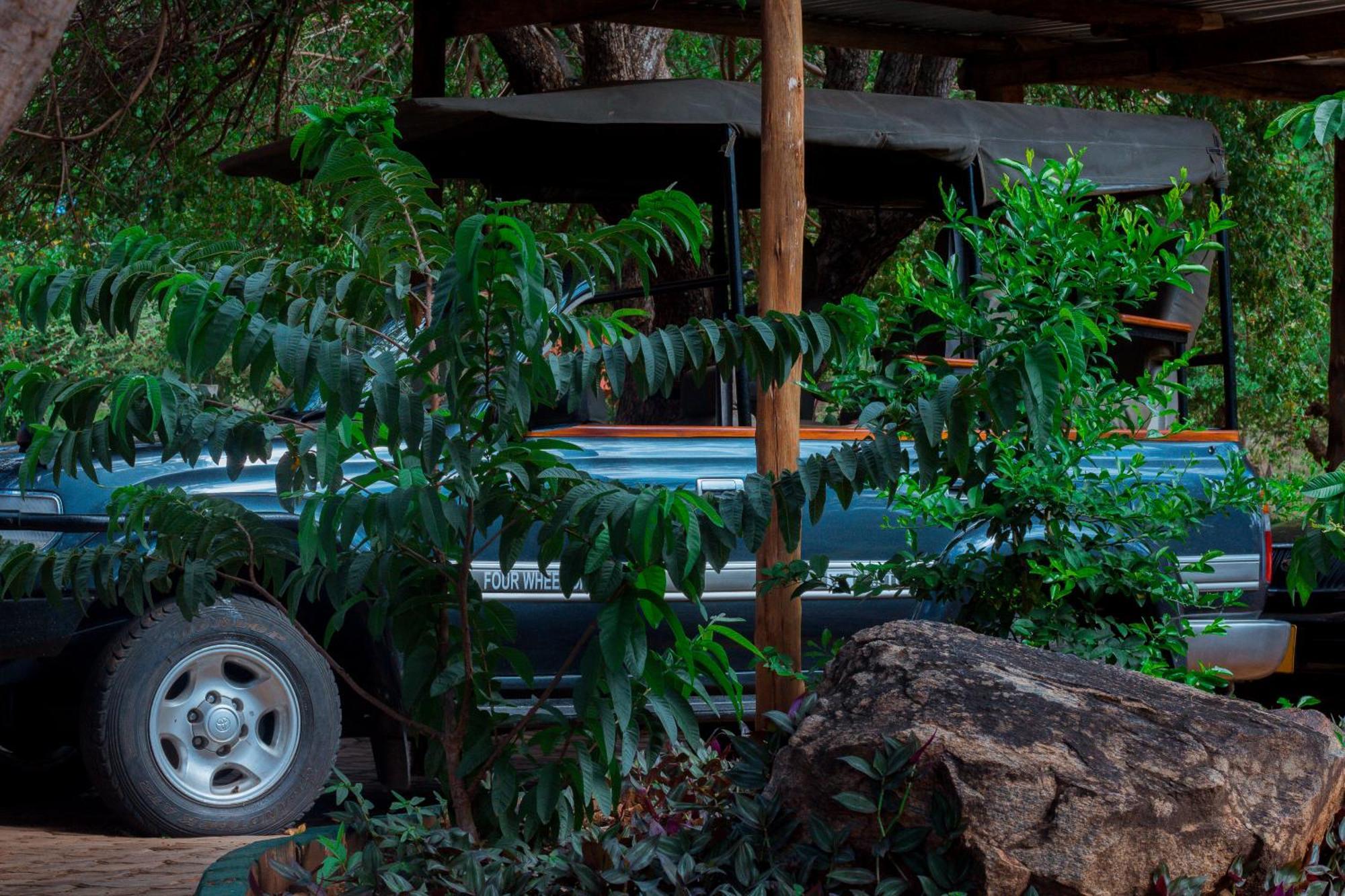 Mkomazi Hotels And Camps Hegoma 外观 照片