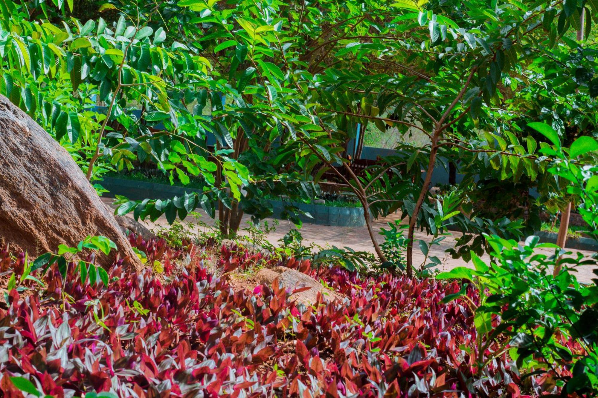 Mkomazi Hotels And Camps Hegoma 外观 照片