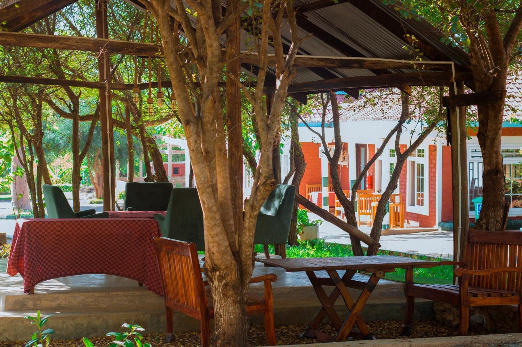 Mkomazi Hotels And Camps Hegoma 外观 照片