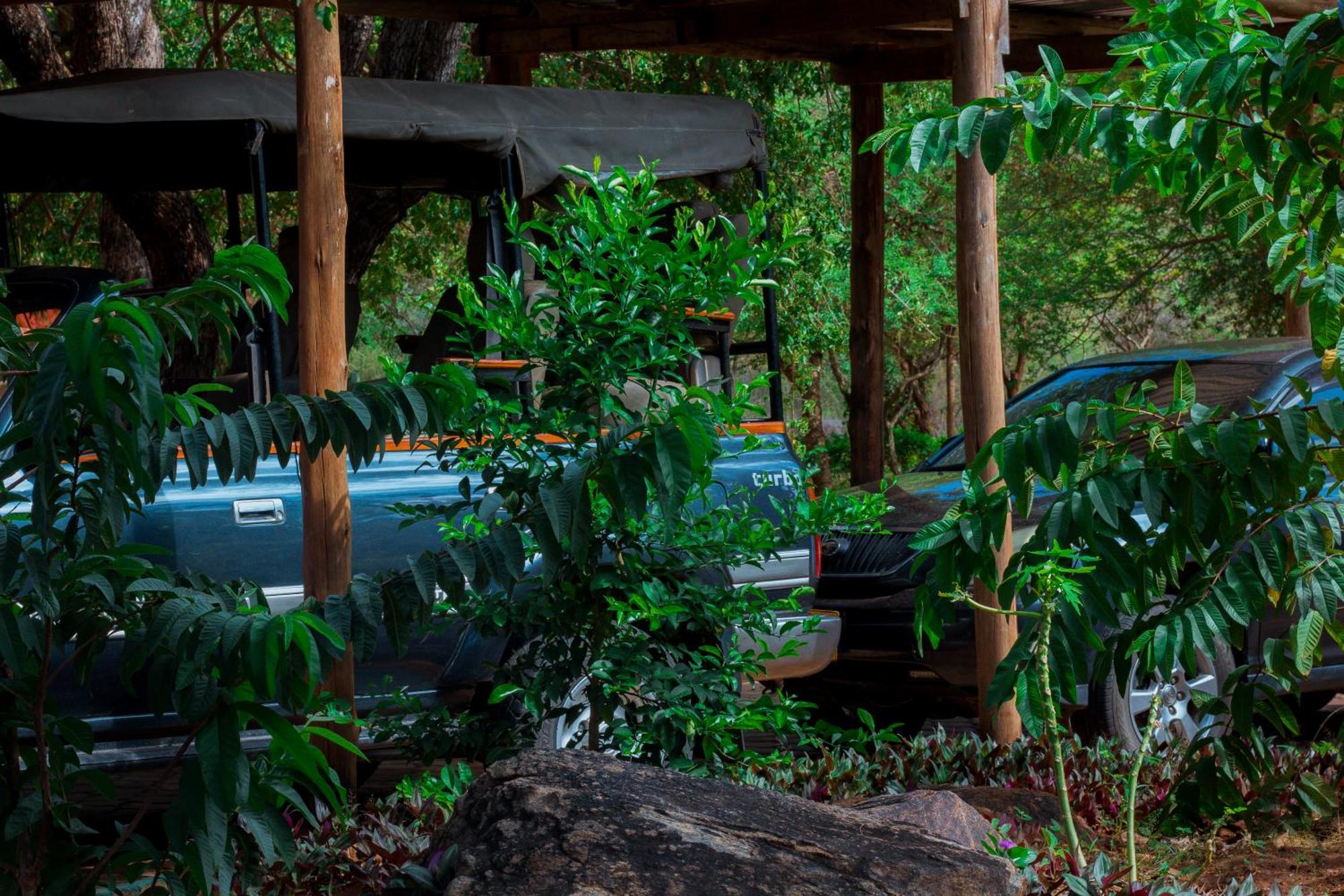 Mkomazi Hotels And Camps Hegoma 外观 照片