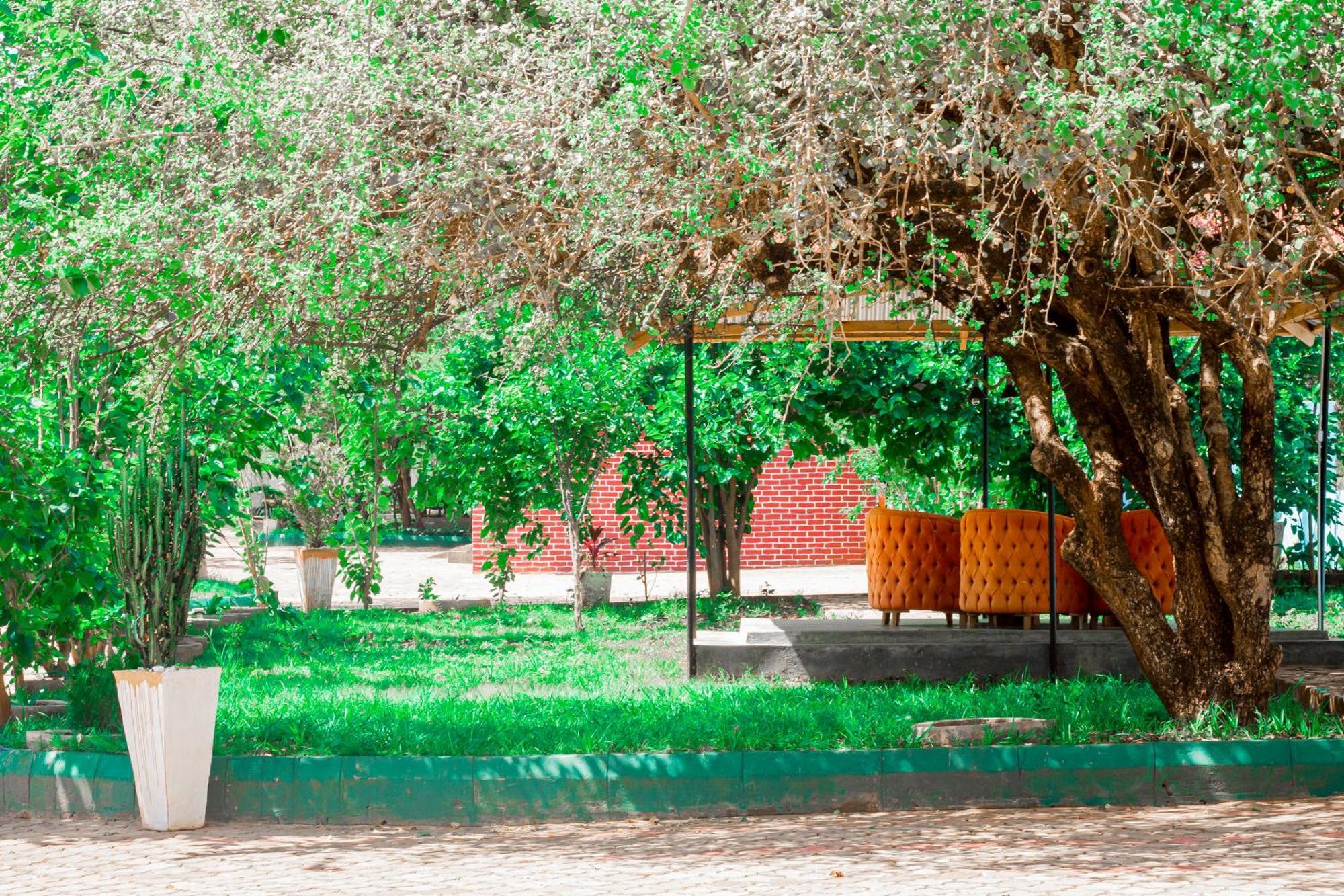 Mkomazi Hotels And Camps Hegoma 外观 照片